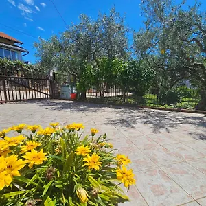 https://apartmani-rita-kiwi.in-istria.net